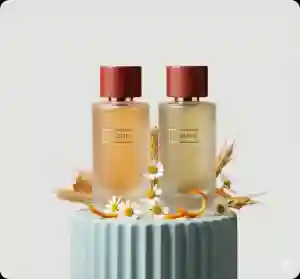 The Celestial Duo: Equinox & Orbit